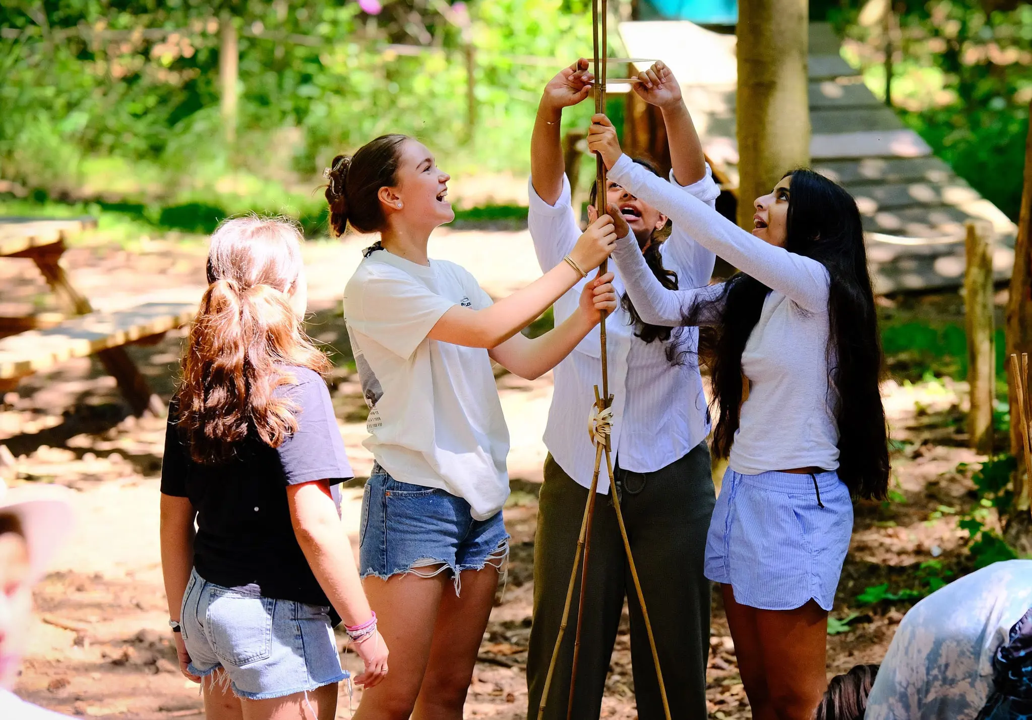 OptimizedImage,Optimized