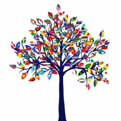 OptimizedImage,Optimized