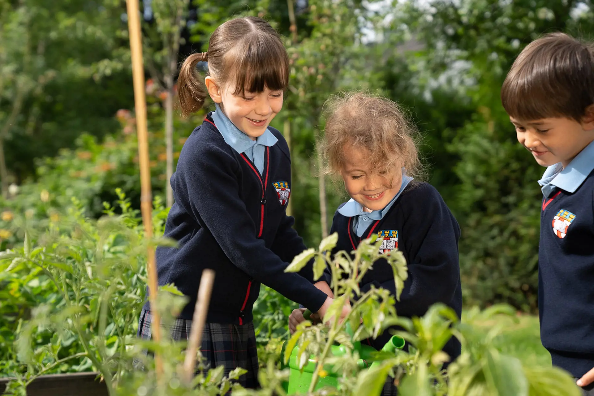 Leading as an eco school